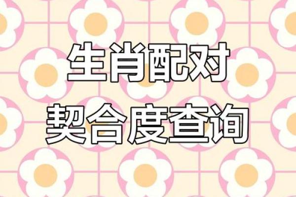 姓名配对属相查询网 姓名配对大全？