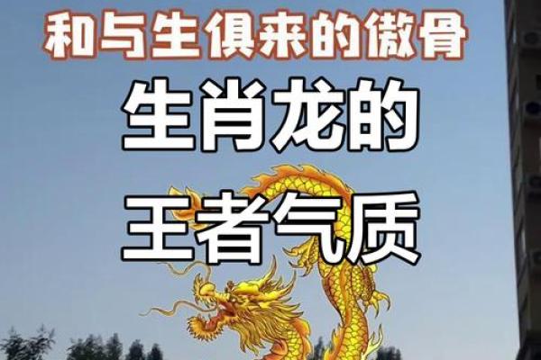 龙风水_属龙的人最可怕的一面是什么