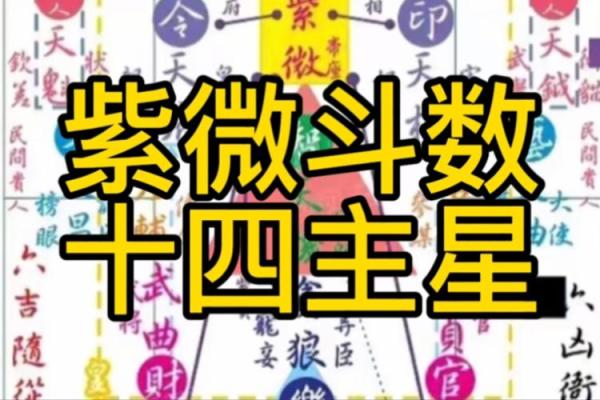 紫微斗数哪颗星适合女生 紫微斗数里面最好的星？