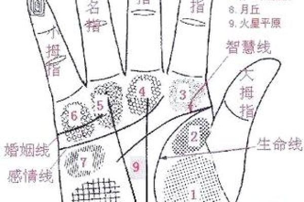 风水生命线分叉代表什么好不好
