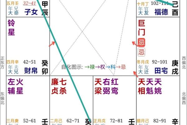紫薇斗数龙池入命