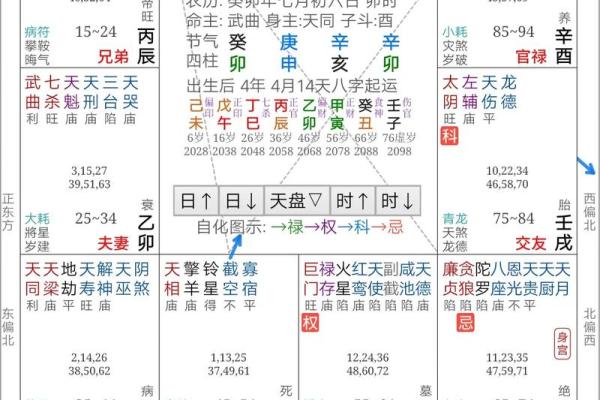 生男女紫薇斗数