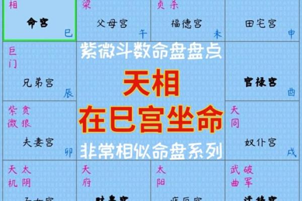 紫薇斗数贪狼在命宫