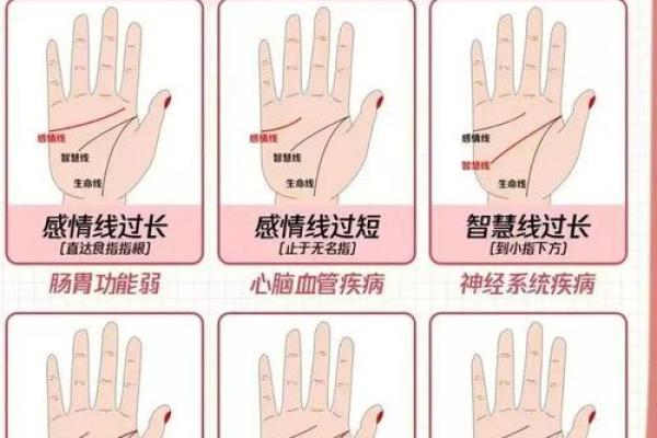 手相算命的基本原则