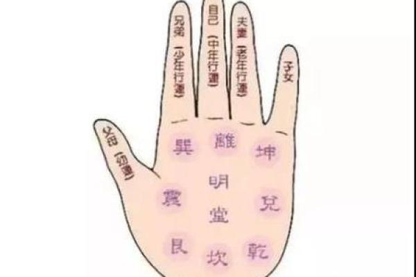 手相算命的基本原则