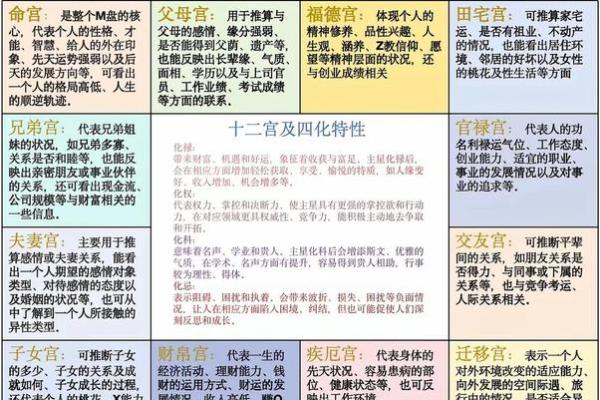 紫微斗数术语解释之：格局