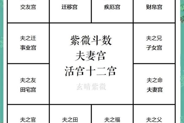 紫薇斗数婚姻测算