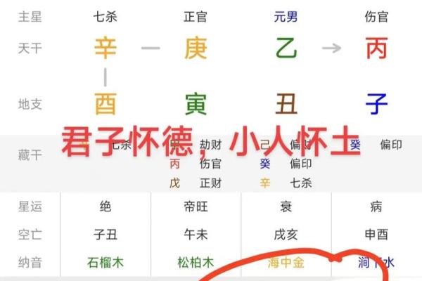 总复习：快速看穿八字网络排盘器界面（下）