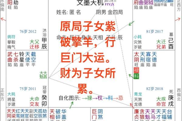 紫薇斗数好学不