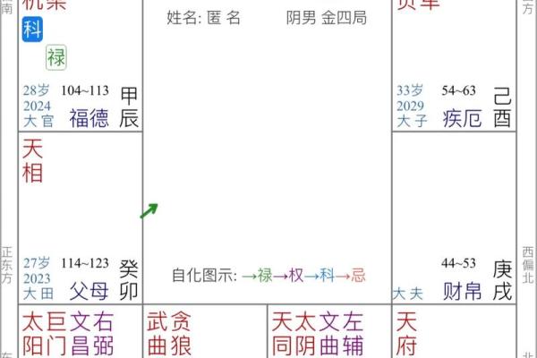 紫薇斗数好学不