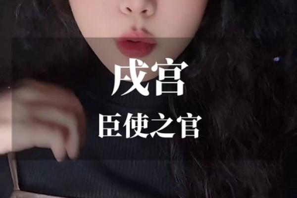 飞廉紫薇斗数流年
