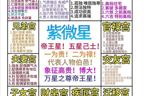 紫薇斗数命盘怎么看