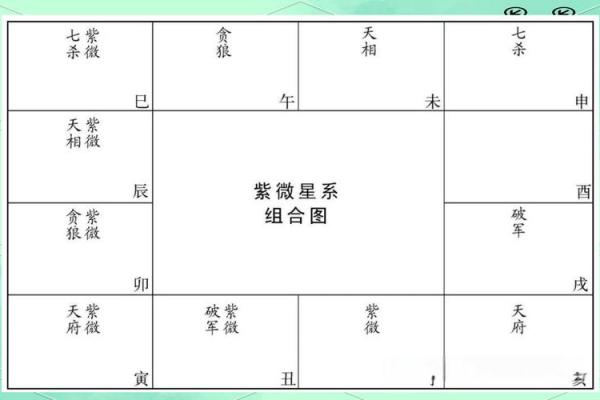 紫薇斗数星宿含义