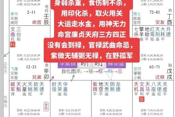 刘嘉玲命理紫薇斗数