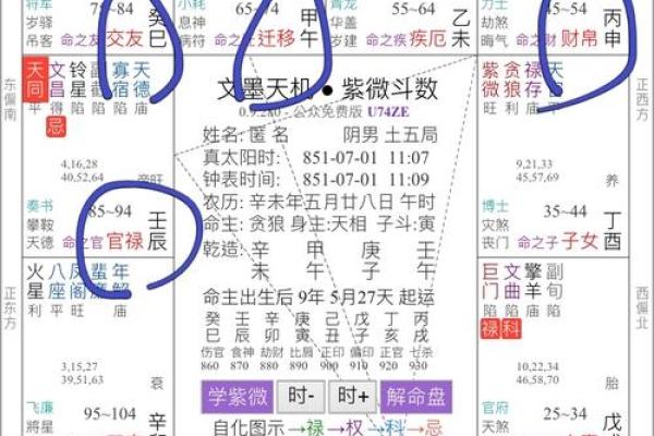 紫薇斗数同缠