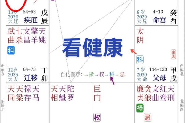 紫微斗数疾厄宫什么星都没有