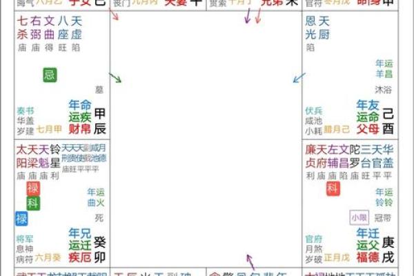 紫薇斗数实例详解视频