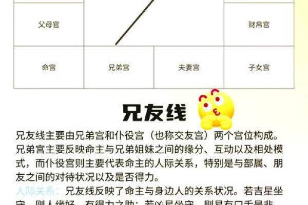 紫薇斗数实例详解视频