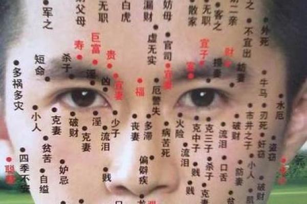 面相黑痣算命图解
