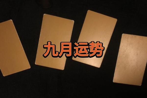 塔罗测试：九月健康运？