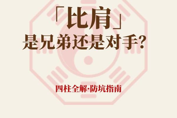 八字里有比肩是什么命