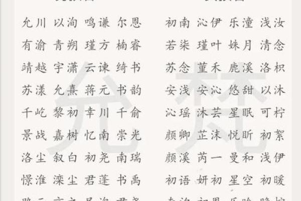 2019年6月12号子时出生的男孩起名时要注意什么姓名