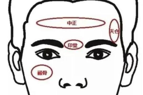面相风水泪堂痣的寓意是什么命运