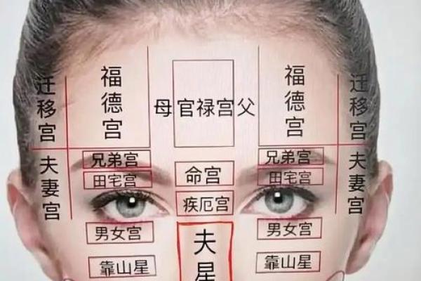 面相风水泪堂痣的寓意是什么命运