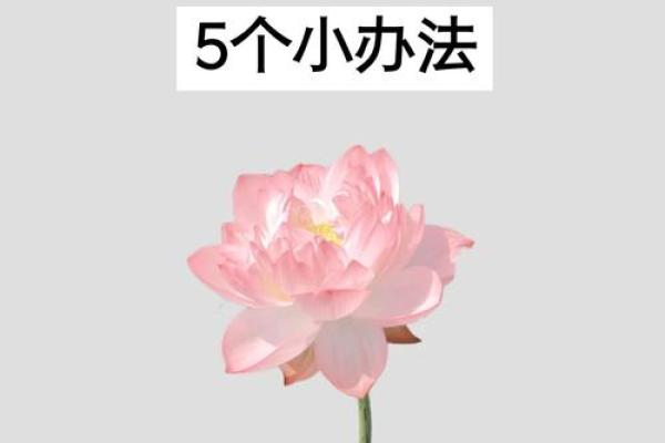 生意不好，风水有妙招
