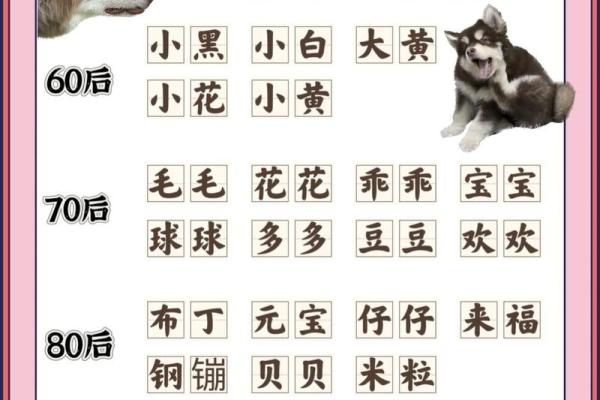 属狗巳时出生的男孩怎样取名字姓名