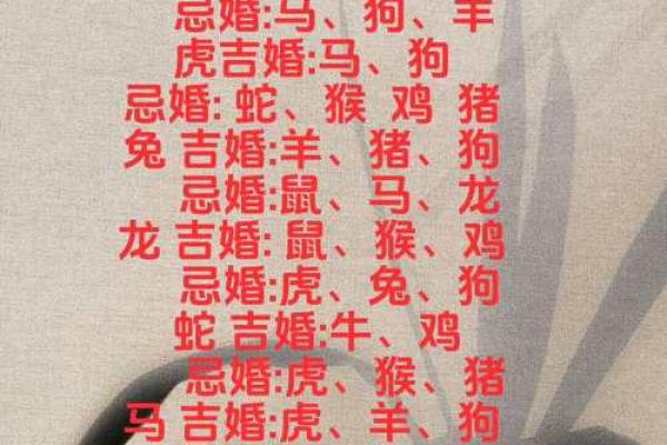 合八字属鼠男与属兔女适合做夫妻吗 婚配好吗