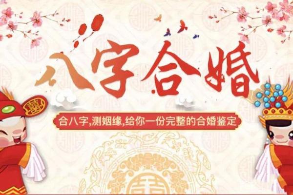 合八字软件