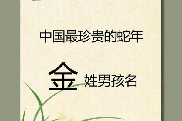 2019年4月16号寅时出生的男孩起名方法姓名