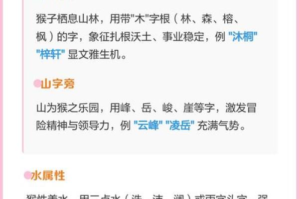 8月份出生的属猴男孩名字取什么好姓名