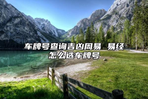 八字测车牌号码测吉凶测试
